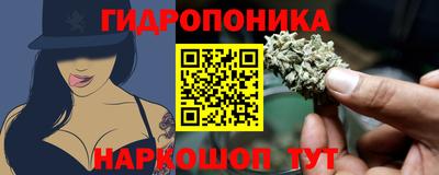 мяу мяу мука Кунгур